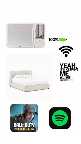 ctto:@_.ayeeshang #codm#spotify #aircon