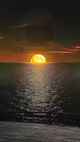 nasehat Abah Uci turtusi #masyaallahtabarakkallah #kalamulama #fyp 