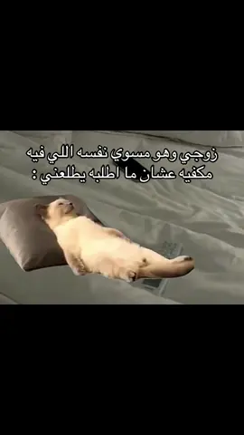 #fyp #explore #اكسبلور #foryou 