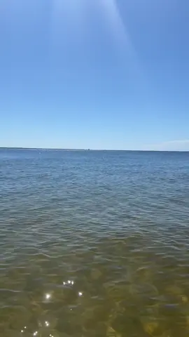 Dolphins decided to come closer 😍🐬 #lemuriafam 