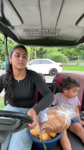 it’s the “sour bread” for me 😂 #farmlife #toddlermom #cow #homestead #familyfarm 