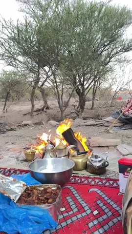 #اكسبلور #البر #اجواء الشتاء #