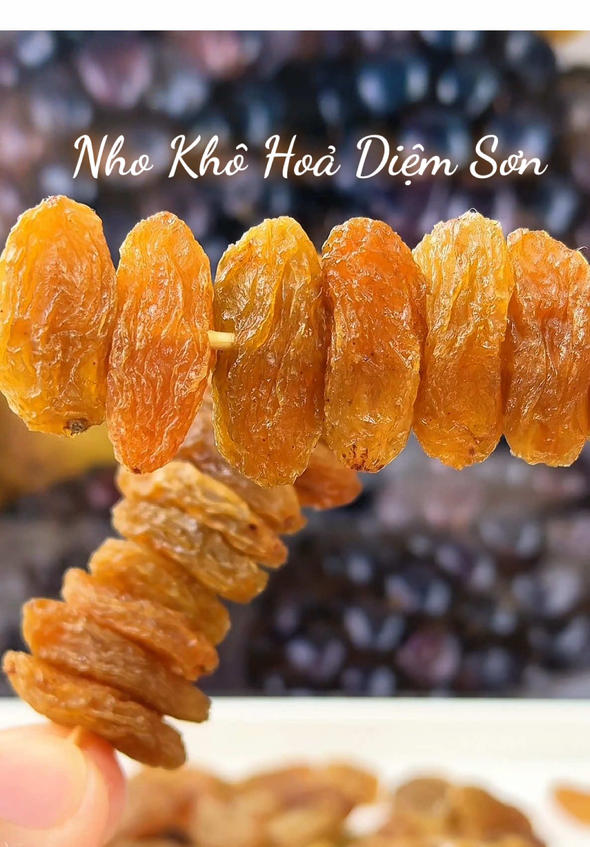 Giống nho khô Hoả diệm sơn này có vị ngọt nhiều hơn chua đó ạ #nhokho #nhohoadiemson 