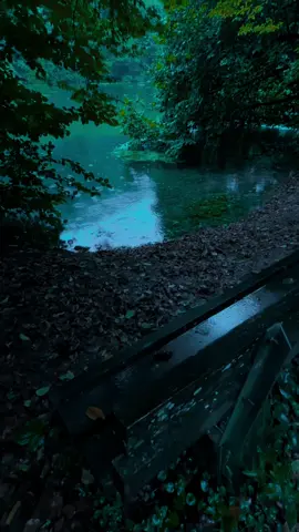 🌳🍃#nature #calm #darkaesthetic #naturephotography #foryоu 