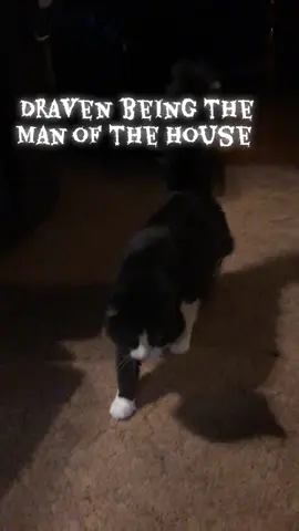 #valbentley72 #tiktok 