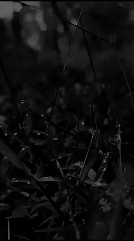 #assalamualaikum_shbtku_semua #fypviraltiktok🖤シ゚☆♡ 