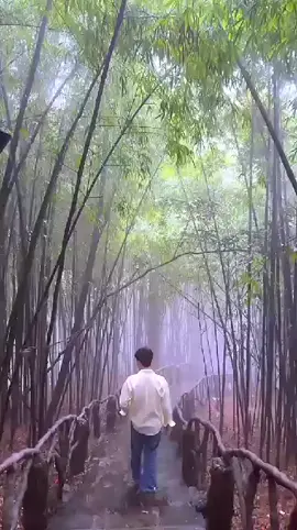 Nơi ấy vẫn còn đó, ng từng bước qua lại k còn, và chỉ còn 2 chữ 