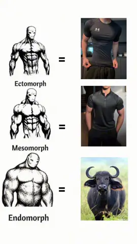 Just funny 🤣  #ectomorph #mesomorfo #endomorfo #gym #GymTok #davidlaid #discipline #compresion #weight #pullday #benchpress #training #viral #trend #fyp 