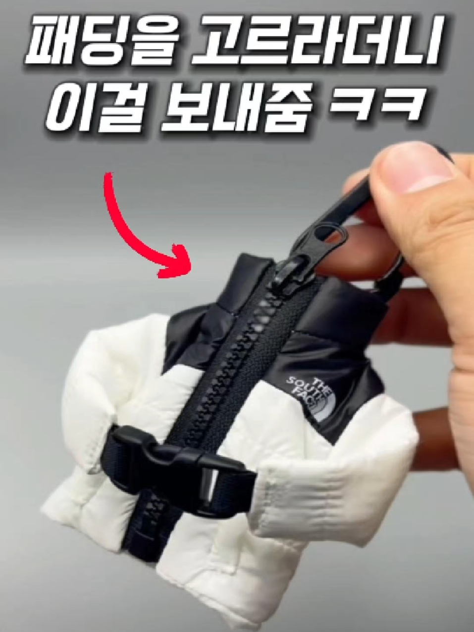 📌 제품정보->프로필링크<36번>검색  #패딩키링 #노스페이스키링 1번 vs 2번 어떤 게 더 귀엽나요? 투표해주세요! 🤣  노페 패딩 사준대서 설렜는데... 이걸 보여주더라고요? 😇 욕 나올 뻔했는데... 너무 귀엽죠 ㅋㅋ