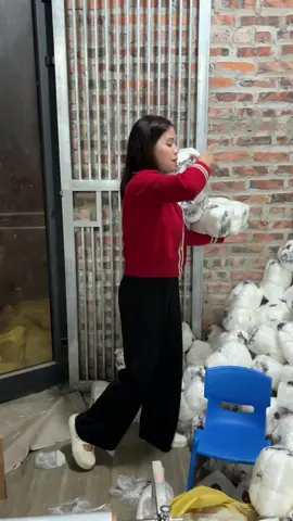 Mua hàng tận kho, xưởng giá cực rẻ#mangbocthucpham #mangbocthucphamgau #bocthucpham #thinhhanh #creatorsearchinsights 