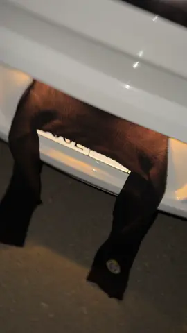 #كابريس #اكسبلورexplore #كباس_١٦ #fyp 