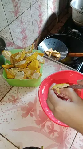 Bagian 1 | Kegiatan setiap pagi #anabul #dayinmylife #tahuaci #kampung #fyp 