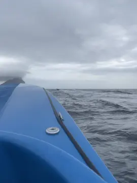 🙈🙊🙉🌪️🌧️#phantom25 #parati #viraltiktok #Motivacional 