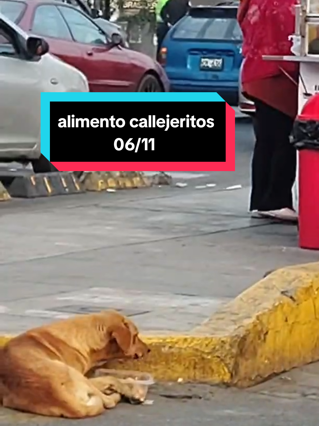 #aventurascallejeras #nadiemerecepasarhambre  haciendo caso al audio de lados jeje