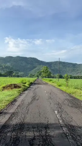 pov : slow living di Klaten, bangun pagi, jalan pagi sambil liat view kaya gini #klaten #klatenfyp #klatenkeren #clongop #klatenbersinar 
