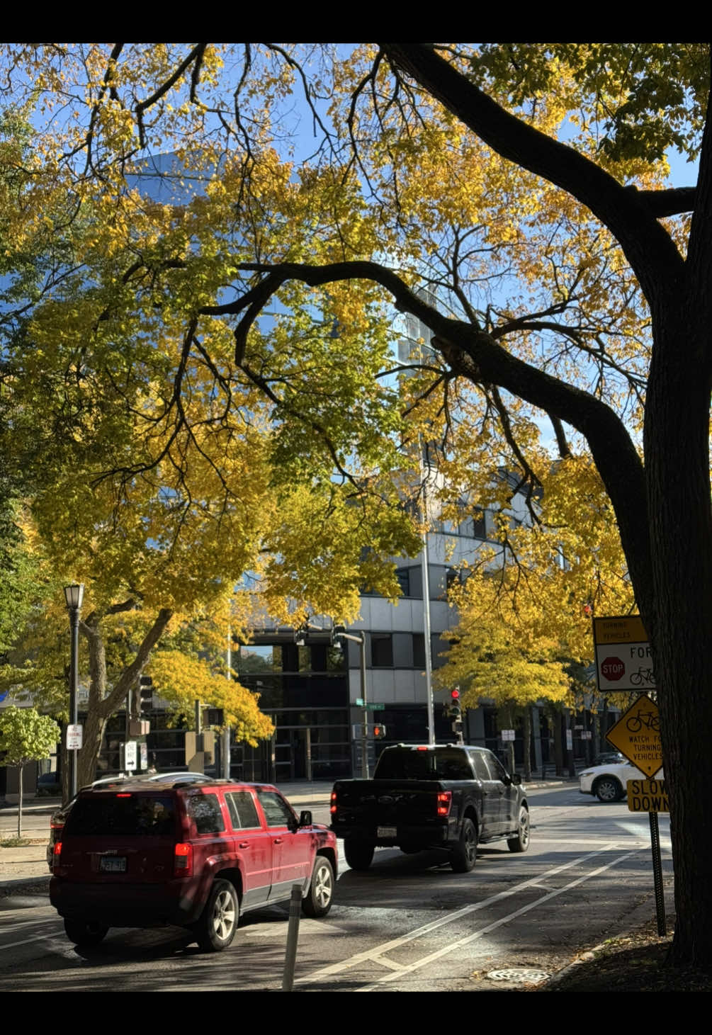 I will not be defeated by $2 per unfinished sushi. #sushimukbang #sushilover #fypシ 