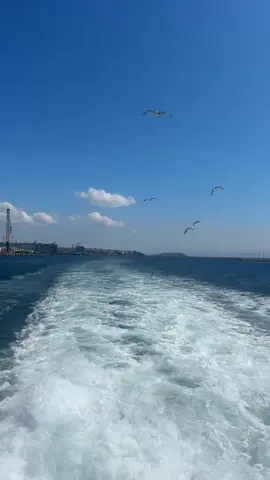 #بحر_الشوق_لطامي_لجلج_موجه_الطامي #بدون_موسيقى #بحر_الشوق_بدون_موسيقى 