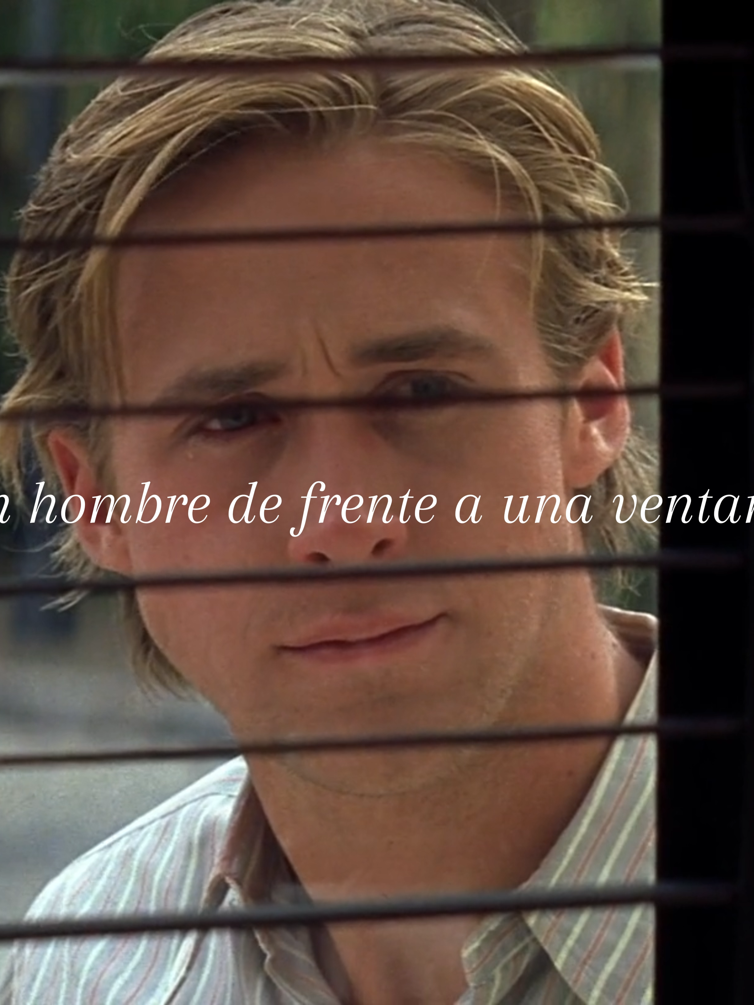 #thenotebook  #diariodeunapasion #ryangosling #edits #movie