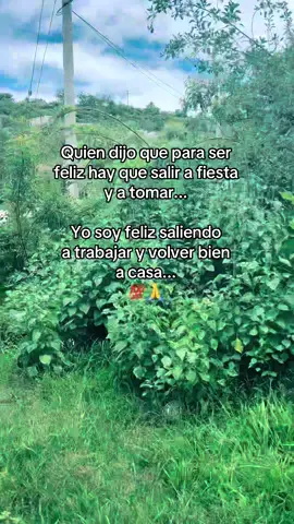 #liveincentiveprogram #frasesbonitas #parati #fypシ゚ #viraltiktok 