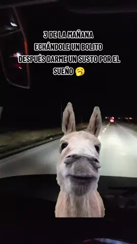 #Meme #MemeCut #CapCut # si tienes sueño baja a hacer tus pausas activas son muy buenas y te ayudan a combatir el sueño #viralvideos #viajes 