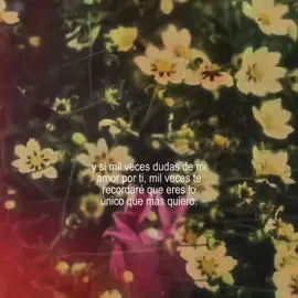 Calidad no me falles #amor #textosdeamor #xyzcba #dedicarvideos #dedicarvideos♡ 