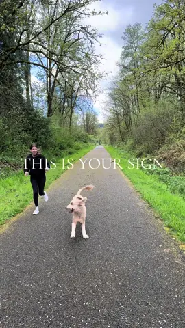 If you’ve been watching me for months thinking about starting… this is your sign 🪧 #POV #AmazonInfluencerJourney #amazoninfluencer #amazoninfluencerprogram 