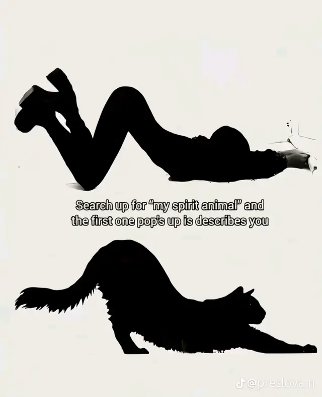 🖤#spiritanimal 