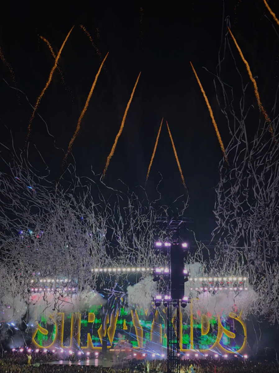 🩶 #straykids #skzstay #inthedark #djsnake #fyp 