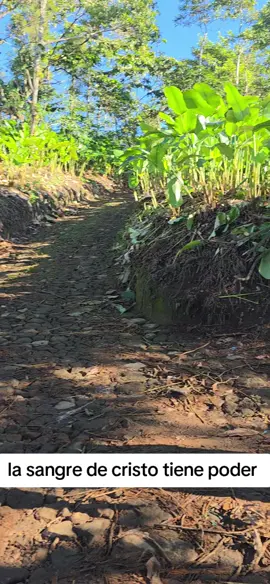 sólo y recibe tu milagro 