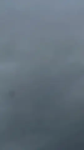 #y15greyviral🚀  #pyp 