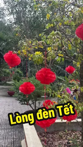 Lồng đèn trang trí Tết đầy đủ kích thước #longdentet #tet2026 #longdentreotet #longdendotrangtri #longdendo 