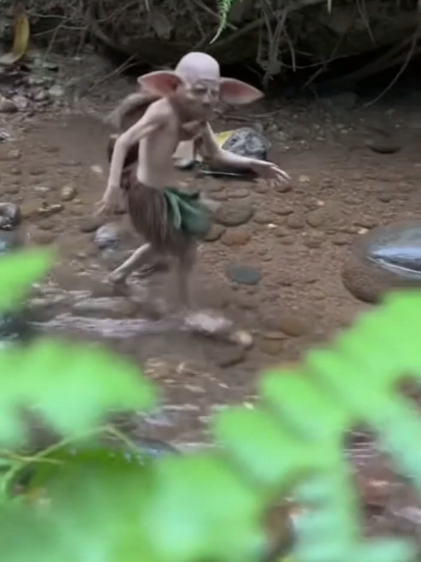 4 PM #duendesreales #criaturasextrañasdelanoche #fypシ゚viral #viralreelsシ #criaturasextrañas 