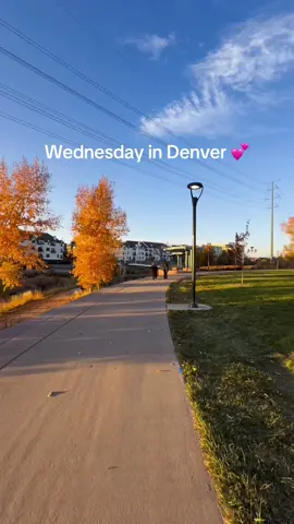 Trying to post more casual content! The leaves were so pretty today #denver #denvercolorado 