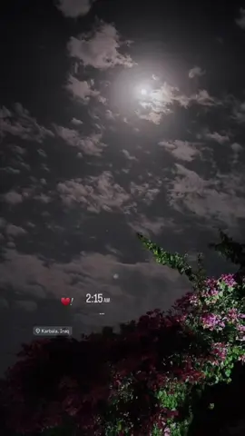 أشكو لها قَلبًا بِنَارِها مُغرَمٌ ♥️.                            #لايك__explore___ #كربلاء #اكسبلورexplore #تصويري📸 