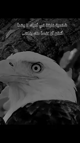 #ليبيا🇱🇾❤️‍🔥🇱🇾❤️‍🔥🇱🇾❤️‍🔥🇱🇾❤️‍🔥🇱🇾 #كتاباتي #حبرقلمي أسود #جوارح🦅🦅🦅🦅🦅🔥 #ثرثرات_من_القلب_قد_تعنيك_إحداها #مشاهير_تيك_توك #العالم_العربي #ليبيا🇱🇾 
