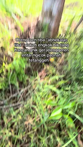 @myaaaaaaaa021 #fyepeeee#madura #hanya kata kata#lagu #