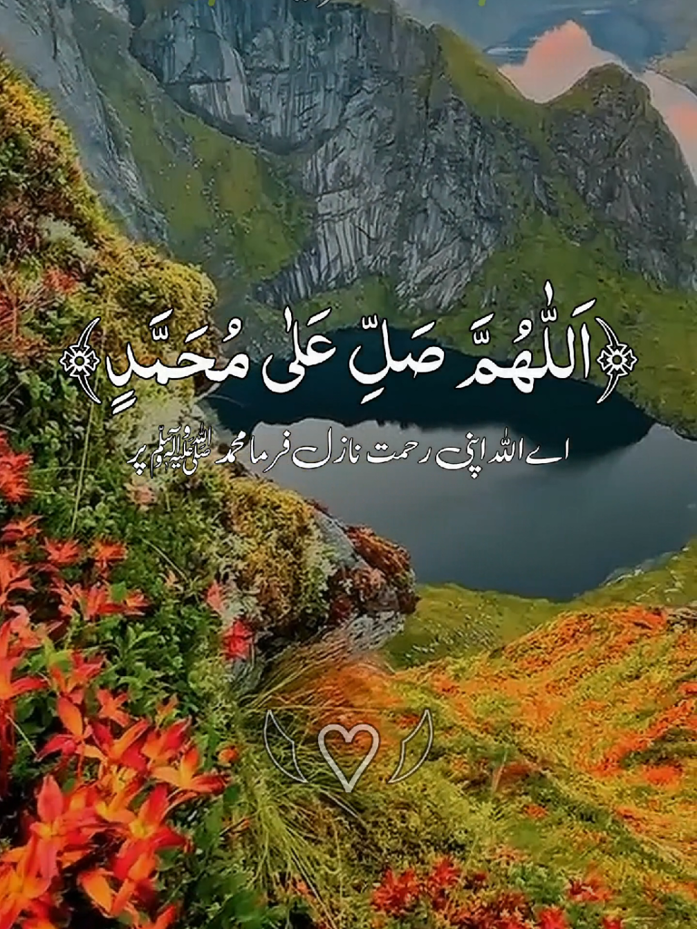 #ارح_سمعك #ارح_قلبك_المتعب_قليلاً🤍💫 #ماشاءالله_تبارك_الله #درودشریف_پڑھ_کر_آگے_شیئر_ضرور_کرے #راحة_نفسية #foryoupage❤️❤️ #fyppppppppppppppppppppppp #greenscreen #videoviral #@TikTok #@TikTok UK #@TiktokPakistanOfficial 