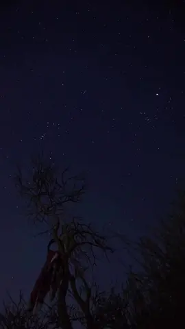 #هواجيس_الليل 