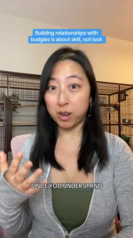 Replying to @Marie get the science right and you will unlock the science of making friends with any budgie you want! #budgiesoftiktok #parakeetsoftiktok #parrotsoftiktok 