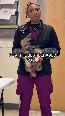 The barks 😅 @I Can’t Even (via:@rhianna.i) 