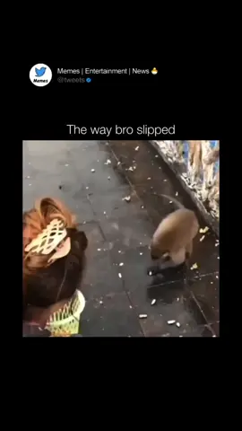 Why’d he fall like that 😂😭 sign up for and 10% of your order goes to someone in need!