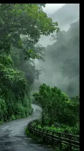 #creatorsearchinsights #خواطر #اقتباسات #كلمات_لها_معنى 