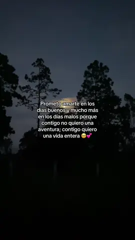 Prometo amarte en los dias buenos y malos #parejas #videosparadedicar #etiquetala #novios #videosparaestados 