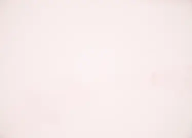 #anime #edit #fireforce #creatorsearchinsights 