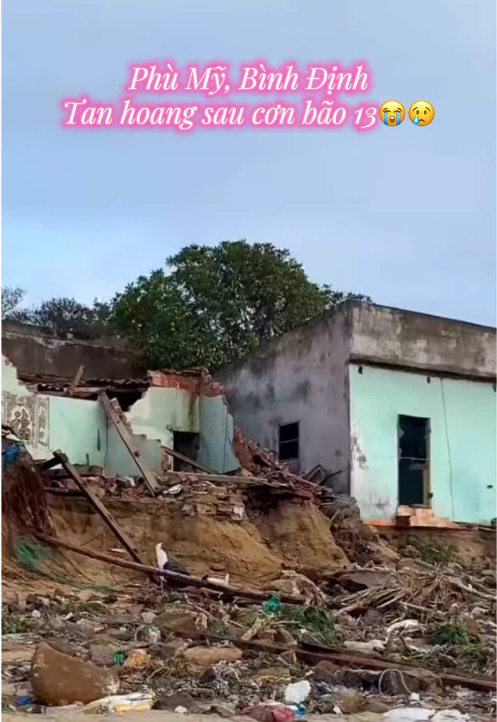 Mấy chục năm qua người dân mới thấy cơn bão mạnh tàn phá ghê gớm đến vậy, hiện thiệt hại chưa thống kê được hết 😢😭🥺#xuhuong #viralvideo #baolu #tintuc #24 