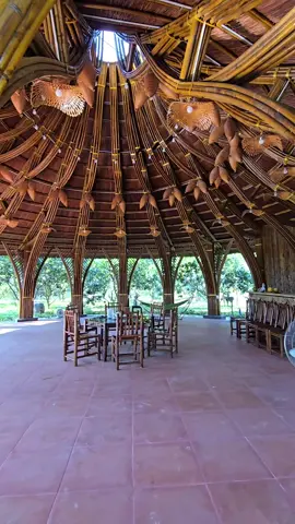 nhà tre uốn cong,nhà tre mái lá #nhatreuoncong #nhatremaila 