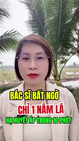 Chỉ 1 nắm lá ngoài vườn giúp Hạ huyết áp nhanh chóng#nguyenthuy #suckhoe #meovat #dinhduong #xuhuong #xuhuongtiktok #timmach 