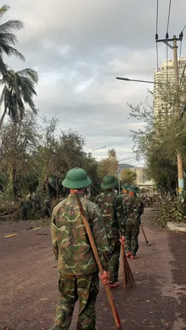 sau cơn bão                                            #quynhon 