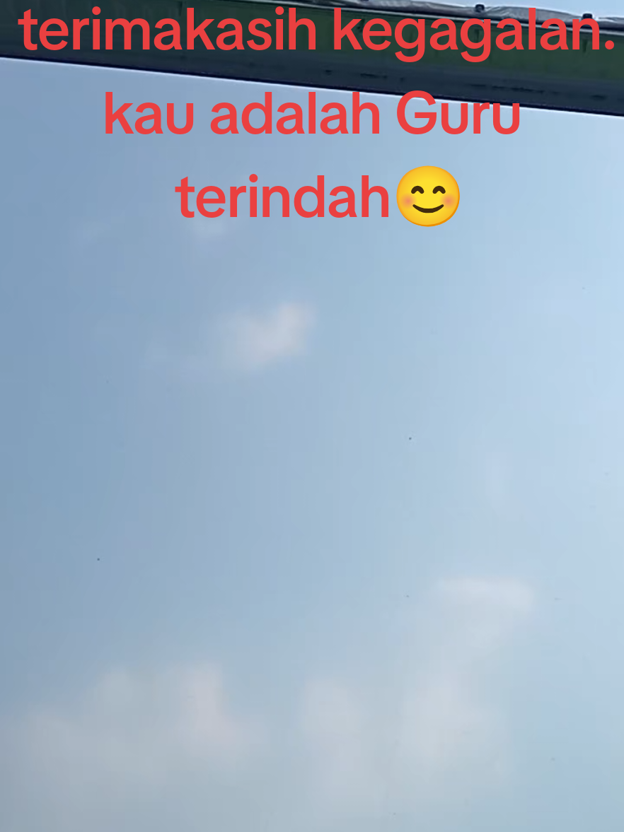 #seladahidroponik #hidroponik #hidroponiksederhana #hidroponikpemula #fyp 