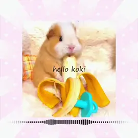 #guineapig #kawaii #glitchedit #paulblartmallcop @koki 